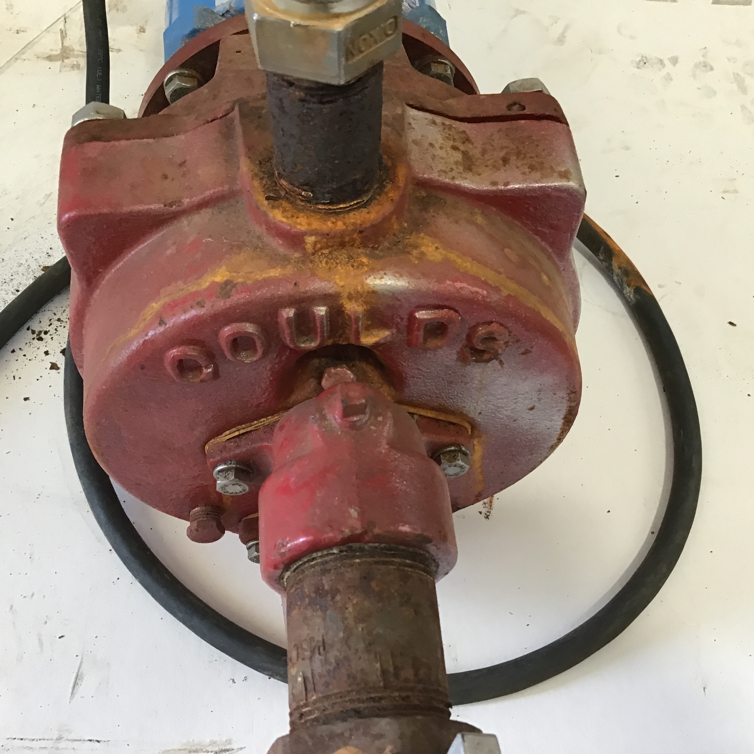 Goulds Pump with A.O Smith C48A93A06 Electric Motor 1/2HP 115/230V 3450RPM - Image 6