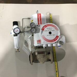Flowserve K39-5028-TV - MK1 Globe Control Valve