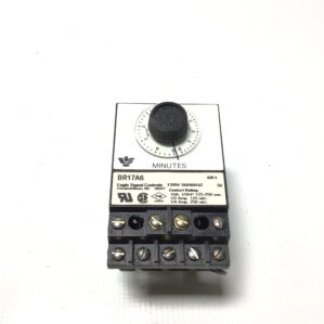 Eagle Signal BR17A6 Industrial Reset Timer 3W 10A 1/3HP