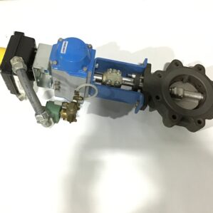 Jamesbury C/VPVL250 DA BC Pneumatic Actuator Valve