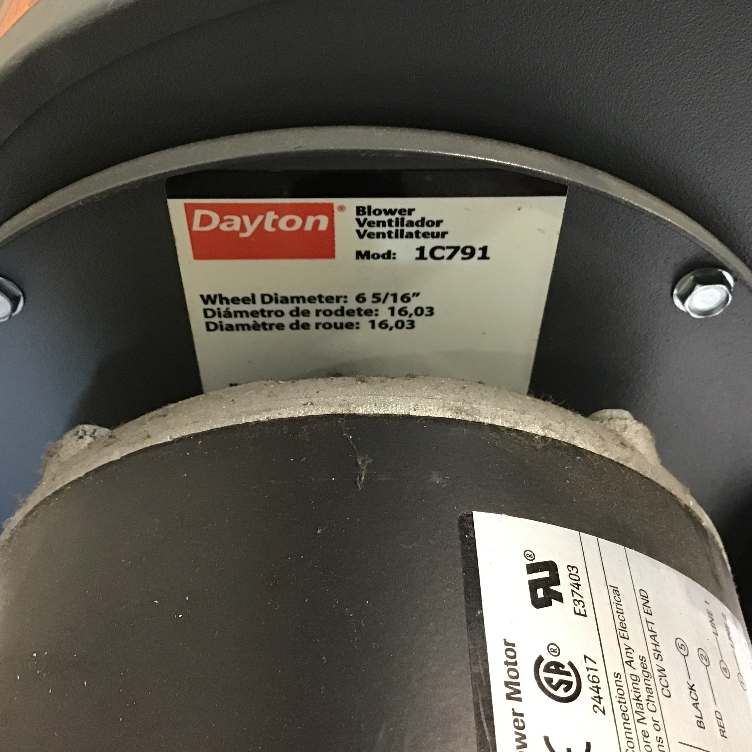 Dayton 5K907K Belt Drive Fan And Blower Motor 1/4HP 4.8A - Image 6